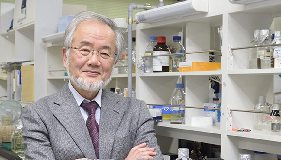 Nobelul pentru Medicina 2016 a fost castigat de cercetătorul japonez Yoshinori Ohsumi