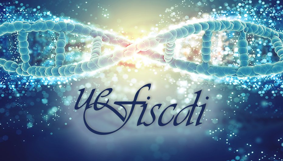 Competitii noi anuntate de UEFISCDI