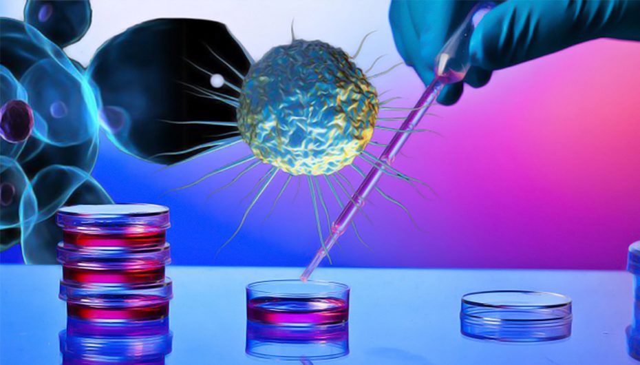 PRIA ONCOLOGY – conferinta despre ultimele noutati in domeniul oncologiei