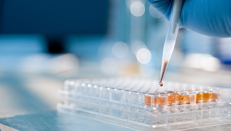 NIDCD Research Grants for Translating Basic Research into Clinical Tools