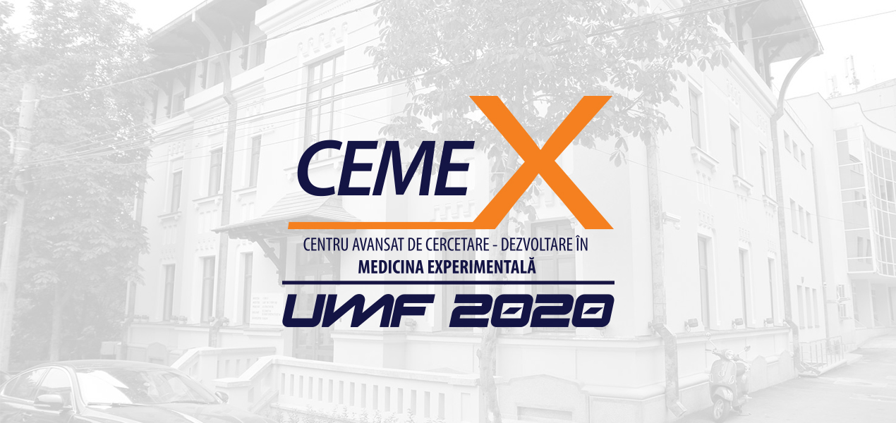 CEMEX – conferinta de inchidere a proiectului