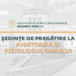 Ședințe de pregătire la anatomie gratuite pentru candidații la concursul de admitere organizat de UMF Iași