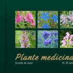 UMF Iași organizează Școala de vară “Plante medicinale” pentru studenții din anul I ai Facultății de Farmacie