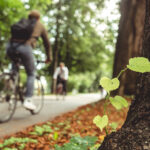 UMF Iași transformă o parte din oraș într-o oază verde: parc și pădure urbană în zona Sărărie – Țicău