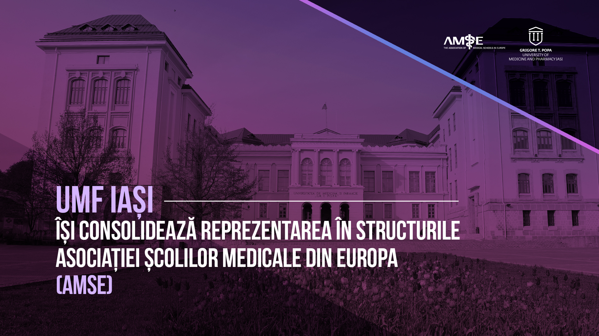 AMSE2026
